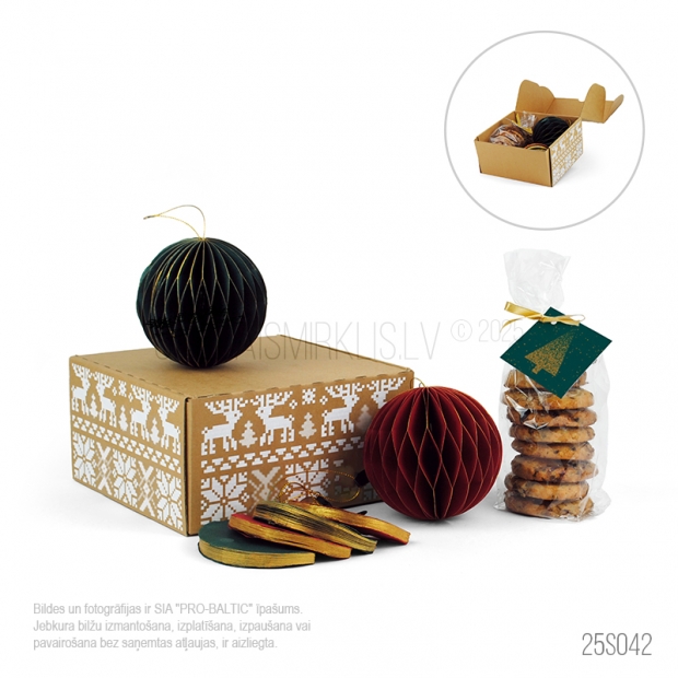 Ziemas pasakas mirklis 25S042