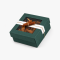 Gift “Cinnamon Blizzard” Z89-C