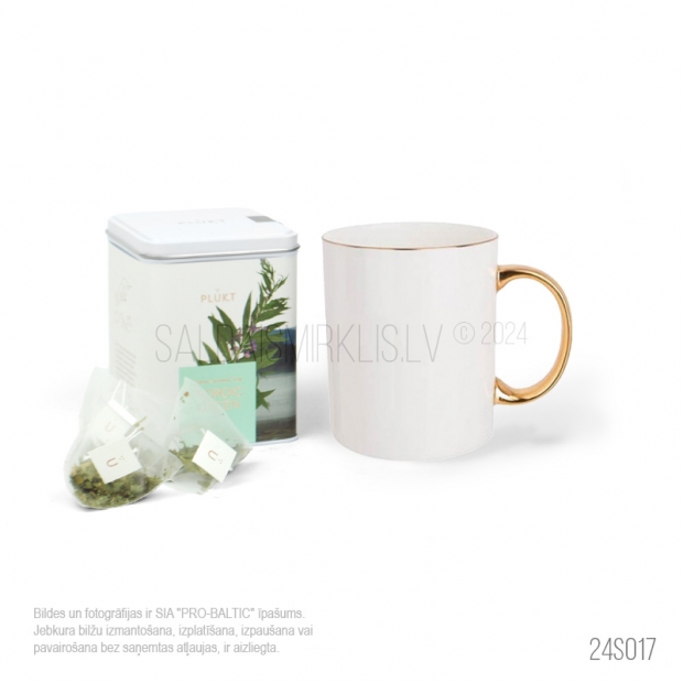 Ziemassvētku dāvanas 24S017