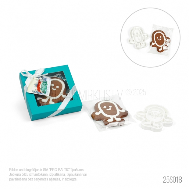 Ziemassvētku dāvanas 25S018